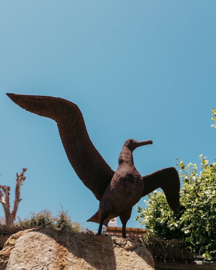 metalic albatros bird statue